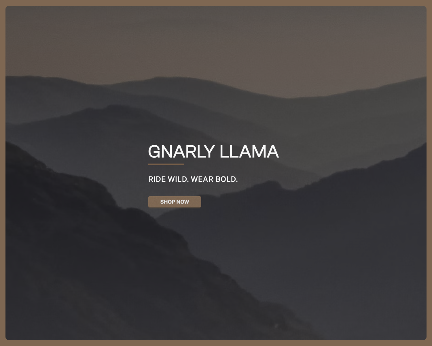 Portfolio project screenshot 16
